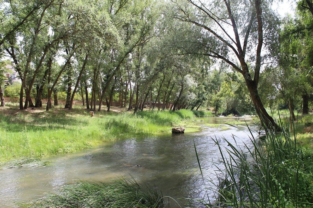 El río Henares a su paso por Espinosa de Henares
